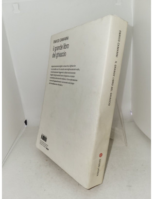 Enrico Camanni - Il grande libro del ghiaccio